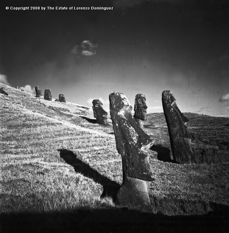 RRE_Angel_09.jpg - Easter Island.1960. Seven sentry moai on the exterior slope of Rano Raraku. Picture taken with the afternoon light.On the foreground, the moai identified by Lorenzo Dominguez as "The Angel."